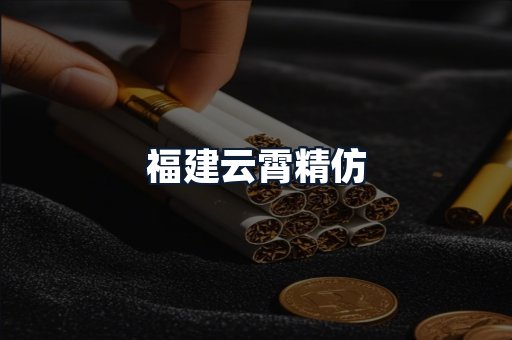 福建云霄精仿